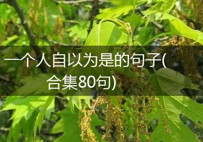 一个人自以为是的句子(合集80句)