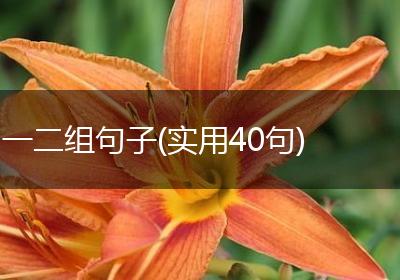 一二组句子(实用40句)