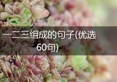 一二三组成的句子(优选60句)