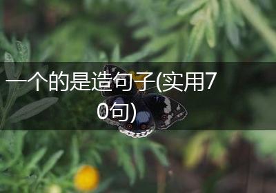 一个的是造句子(实用70句)