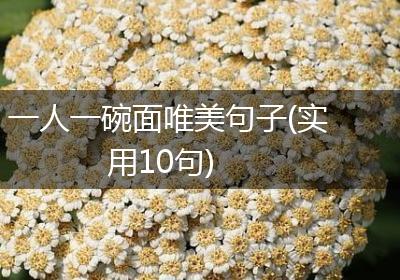 一人一碗面唯美句子(实用10句)