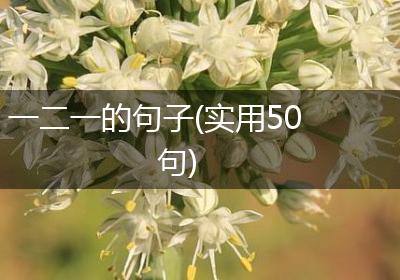 一二一的句子(实用50句)
