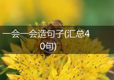 一会一会造句子(汇总40句)
