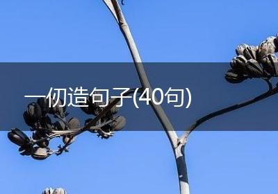 一仞造句子(40句)