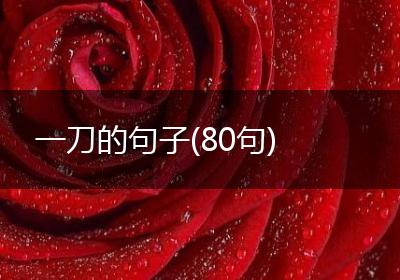 一刀的句子(80句)