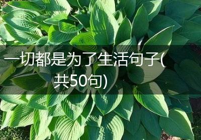 一切都是为了生活句子(共50句)