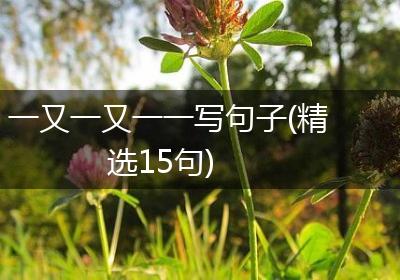 一又一又一一写句子(精选15句)