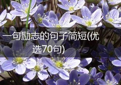 一句励志的句子简短(优选70句)