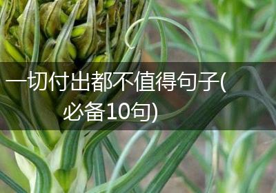 一切付出都不值得句子(必备10句)