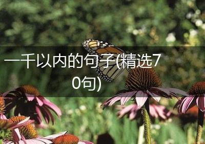 一千以内的句子(精选70句)