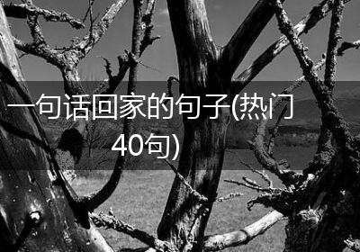 一句话回家的句子(热门40句)