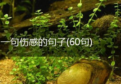 一句伤感的句子(60句)