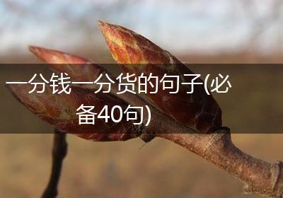 一分钱一分货的句子(必备40句)