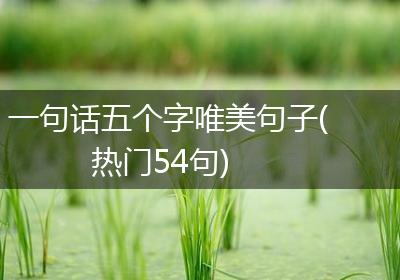 一句话五个字唯美句子(热门54句)