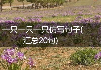 一只一只一只仿写句子(汇总20句)