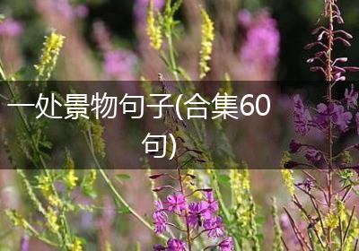 一处景物句子(合集60句)