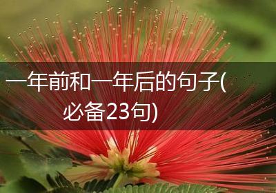 一年前和一年后的句子(必备23句)