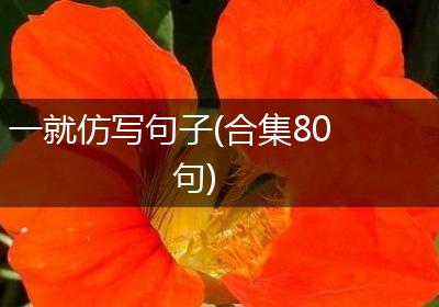 一就仿写句子(合集80句)