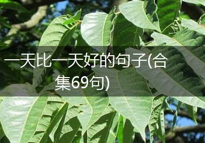 一天比一天好的句子(合集69句)