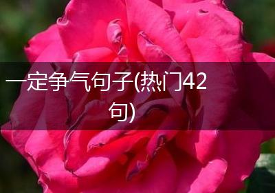 一定争气句子(热门42句)