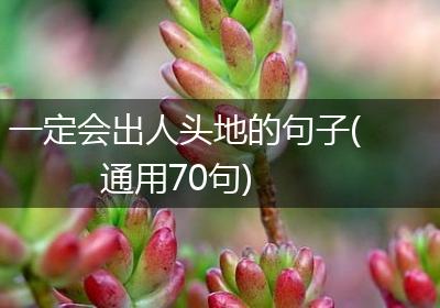 一定会出人头地的句子(通用70句)