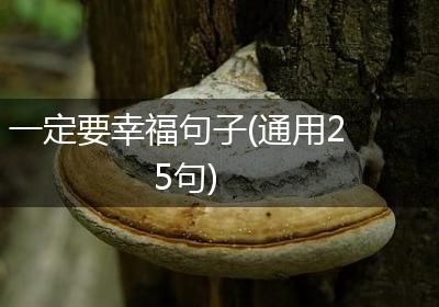 一定要幸福句子(通用25句)