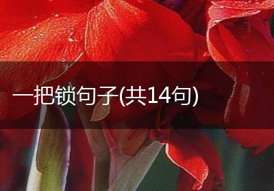 一把锁句子(共14句)