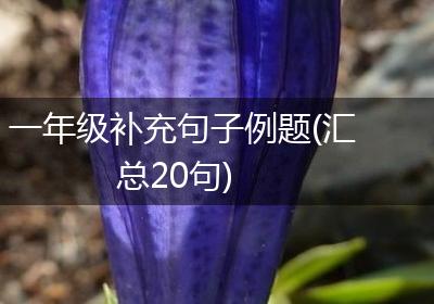 一年级补充句子例题(汇总20句)