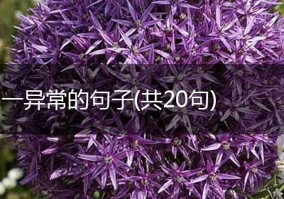 一异常的句子(共20句)