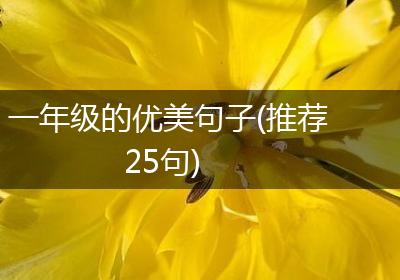 一年级的优美句子(推荐25句)