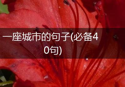 一座城市的句子(必备40句)
