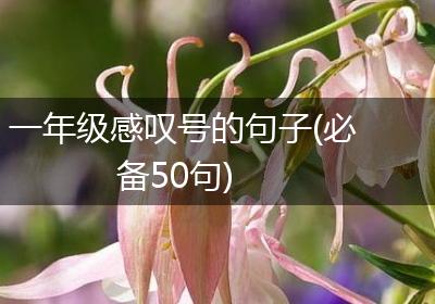 一年级感叹号的句子(必备50句)