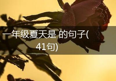 一年级夏天是 的句子(41句)