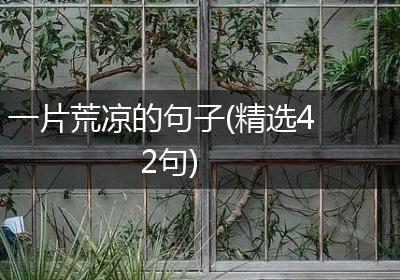 一片荒凉的句子(精选42句)