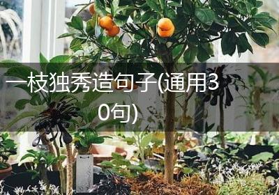 一枝独秀造句子(通用30句)