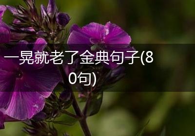 一晃就老了金典句子(80句)