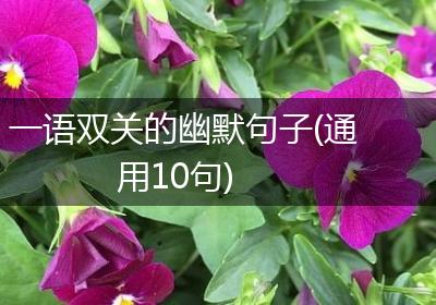 一语双关的幽默句子(通用10句)
