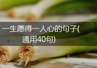 一生愿得一人心的句子(通用40句)