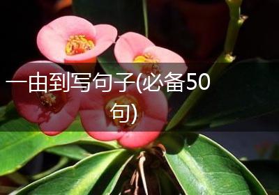 一由到写句子(必备50句)