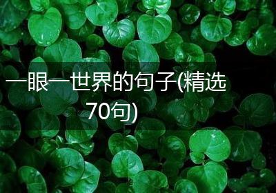 一眼一世界的句子(精选70句)
