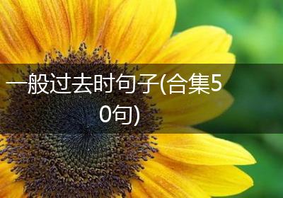 一般过去时句子(合集50句)