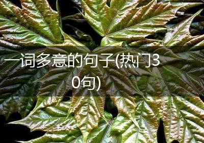 一词多意的句子(热门30句)