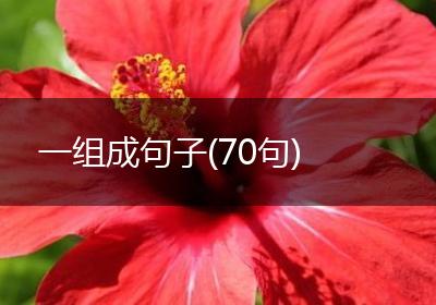 一组成句子(70句)