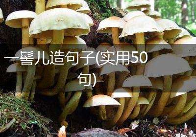 一髻儿造句子(实用50句)