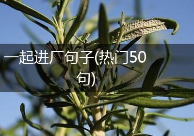 一起进厂句子(热门50句)