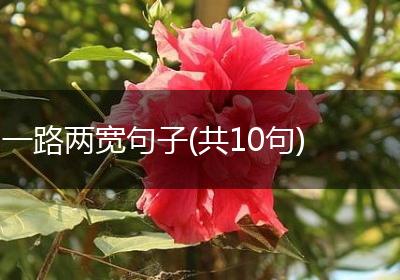 一路两宽句子(共10句)