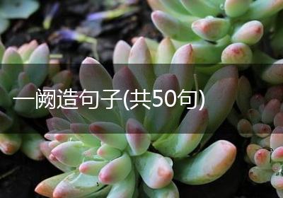 一阙造句子(共50句)