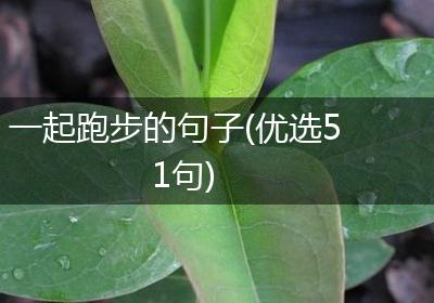 一起跑步的句子(优选51句)