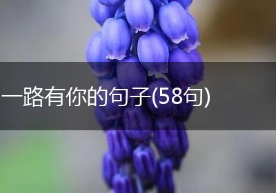 一路有你的句子(58句)