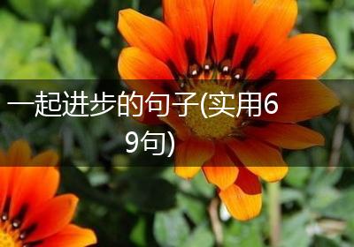 一起进步的句子(实用69句)